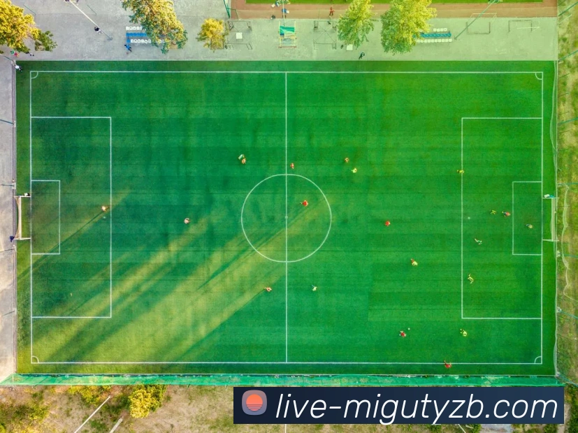 多媒体互动体验